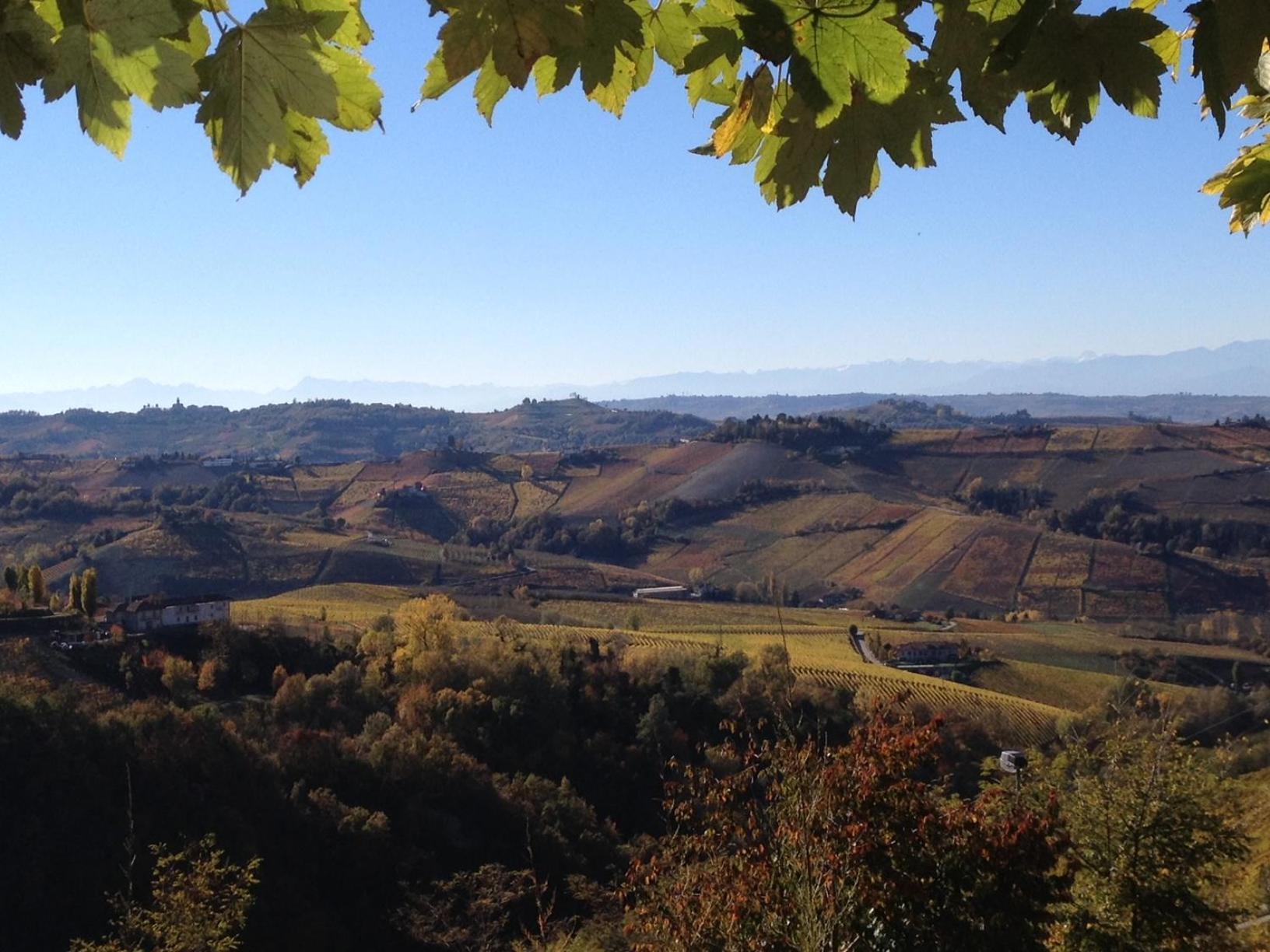 Viasavona46 Nel Cuore Delle Langhe Треизо Экстерьер фото